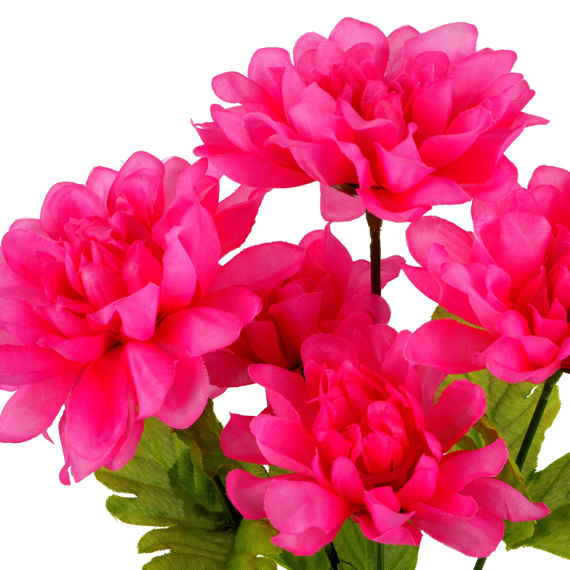 12" Dahlia Bush by Ashland